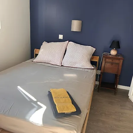 公寓 Renove Avec Parking Et Jardin Prives 托农莱班