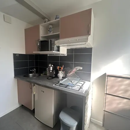 Renove Avec Parking Et Jardin Prives * Thonon-les-Bains