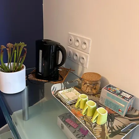 Apartamento Rénové Avec Parking Et Jardin Privés